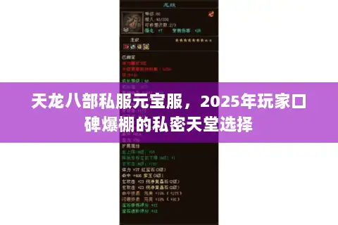 天龙八部私服元宝服，2025年玩家口碑爆棚的私密天堂选择