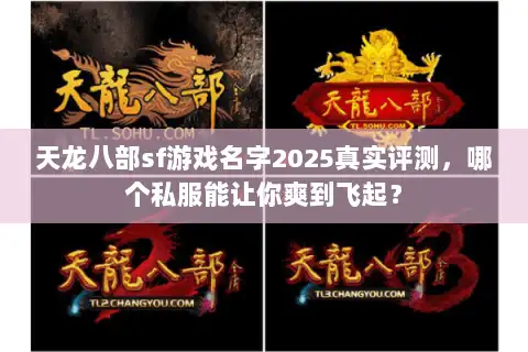 天龙八部sf游戏名字2025真实评测,哪个私服能让你爽到飞起? 天龙八部sf游戏名字2025真实评测,哪个私服能让你爽到飞起?