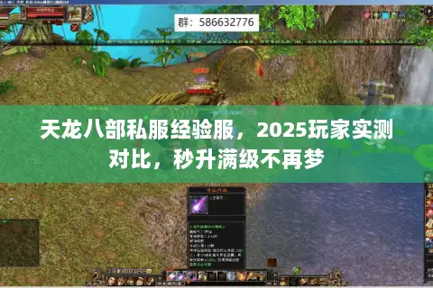 天龙八部私服经验服，2025玩家实测对比，秒升满级不再梦