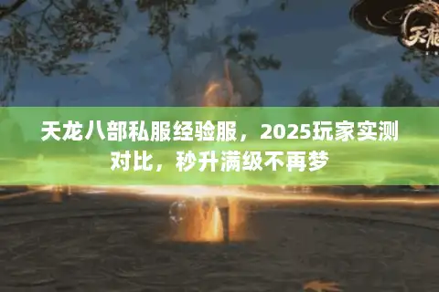 天龙八部私服经验服，2025玩家实测对比，秒升满级不再梦