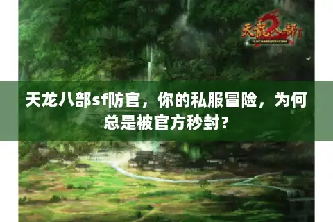 天龙八部sf防官,你的私服冒险,为何总是被官方秒封? 天龙八部sf防官,你的私服冒险,为何总是被官方秒封?