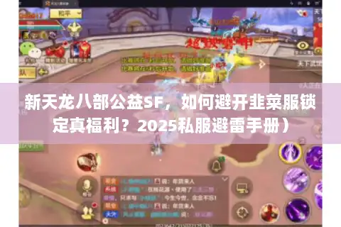 新天龙八部公益SF,如何避开韭菜服锁定真福利?2025私服避雷手册) 新天龙八部公益SF,如何避开韭菜服锁定真福利?2025私服避雷手册)
