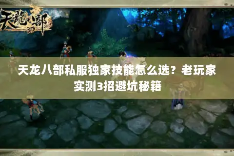 天龙八部私服独家技能怎么选?老玩家实测3招避坑秘籍 天龙八部私服独家技能怎么选?老玩家实测3招避坑秘籍