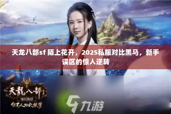 天龙八部sf 陌上花开，2025私服对比黑马，新手误区的惊人逆转