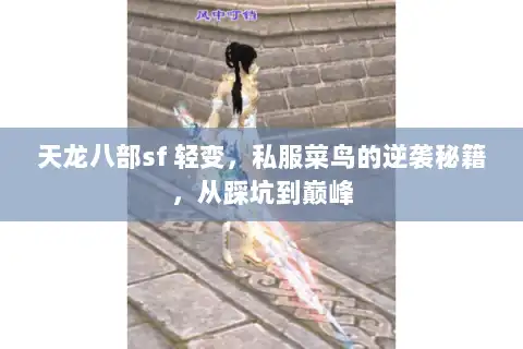 天龙八部sf 轻变，私服菜鸟的逆袭秘籍，从踩坑到巅峰