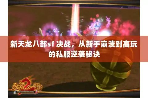 新天龙八部sf 决战,从新手崩溃到高玩的私服逆袭秘诀 新天龙八部sf 决战,从新手崩溃到高玩的私服逆袭秘诀
