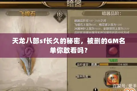 天龙八部sf长久的秘密,被删的GM名单你敢看吗? 天龙八部sf长久的秘密,被删的GM名单你敢看吗?