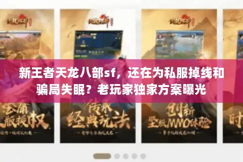 新王者天龙八部sf，还在为私服掉线和骗局失眠？老玩家独家方案曝光