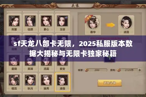 sf天龙八部卡无限，2025私服版本数据大揭秘与无限卡独家秘籍