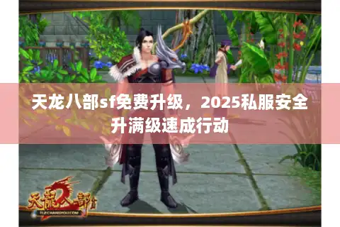 天龙八部sf免费升级，2025私服安全升满级速成行动