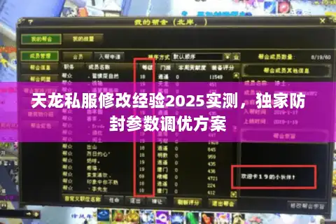 天龙私服修改经验2025实测，独家防封参数调优方案