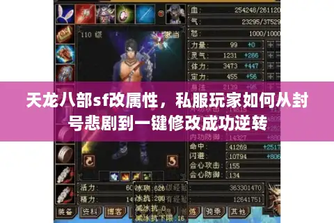 天龙八部sf改属性,私服玩家如何从封号悲剧到一键修改成功逆转 天龙八部sf改属性,私服玩家如何从封号悲剧到一键修改成功逆转