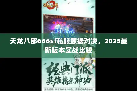 天龙八部666sf私服数据对决，2025最新版本实战比较