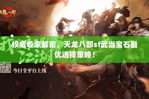权威专家解密，天龙八部sf武当宝石最优选择策略！