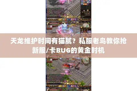 天龙维护时间有猫腻？私服老鸟教你抢新服/卡BUG的黄金时机