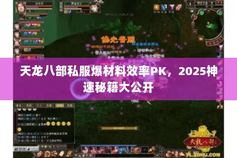 天龙八部私服爆材料效率PK,2025神速秘籍大公开 天龙八部私服爆材料效率PK,2025神速秘籍大公开