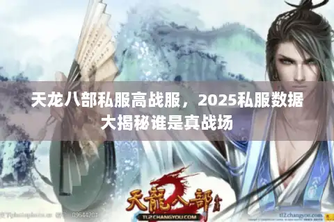 天龙八部私服高战服，2025私服数据大揭秘谁是真战场