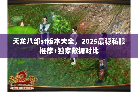 天龙八部sf版本大全,2025最稳私服推荐+独家数据对比 天龙八部sf版本大全,2025最稳私服推荐+独家数据对比