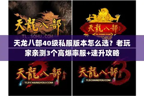 天龙八部40级私服版本怎么选？老玩家亲测3个高爆率服+速升攻略