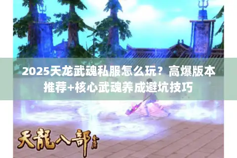 2025天龙武魂私服怎么玩？高爆版本推荐+核心武魂养成避坑技巧