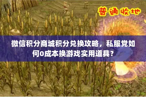 微信积分商城积分兑换攻略，私服党如何0成本换游戏实用道具？