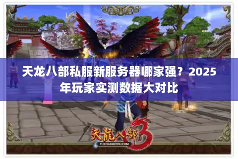 天龙八部私服新服务器哪家强？2025年玩家实测数据大对比