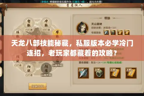 天龙八部技能秘藏，私服版本必学冷门连招，老玩家都藏着的攻略？