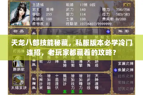 天龙八部技能秘藏，私服版本必学冷门连招，老玩家都藏着的攻略？