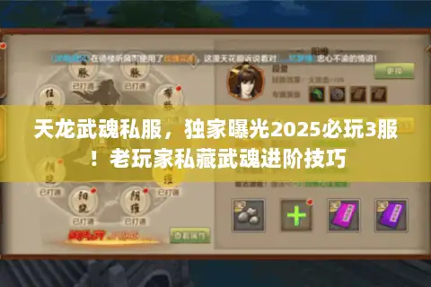 天龙武魂私服，独家曝光2025必玩3服！老玩家私藏武魂进阶技巧