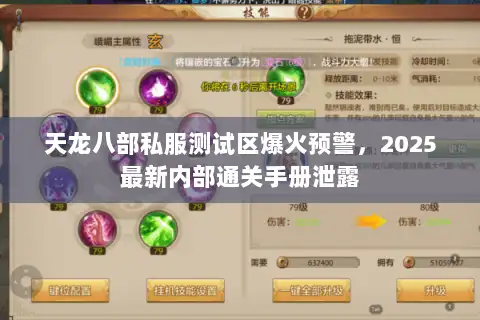 天龙八部私服测试区爆火预警，2025最新内部通关手册泄露