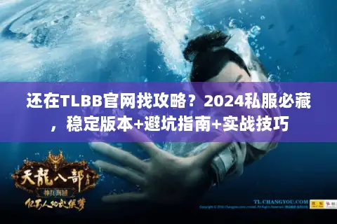 还在TLBB官网找攻略？2024私服必藏，稳定版本+避坑指南+实战技巧