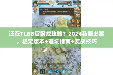 还在TLBB官网找攻略？2024私服必藏，稳定版本+避坑指南+实战技巧