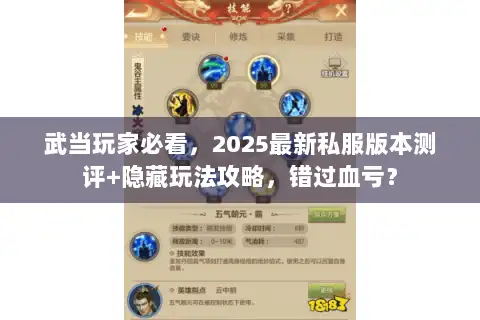 武当玩家必看，2025最新私服版本测评+隐藏玩法攻略，错过血亏？