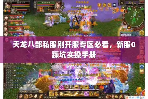 天龙八部私服刚开服专区必看，新服0踩坑实操手册