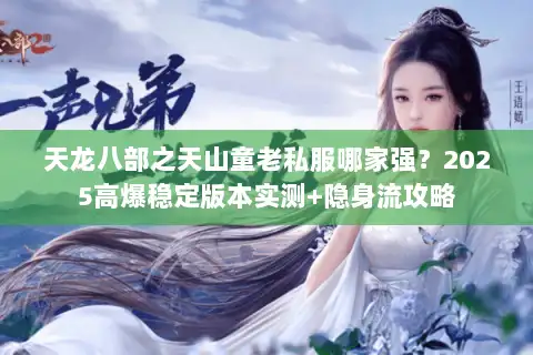 天龙八部之天山童老私服哪家强？2025高爆稳定版本实测+隐身流攻略