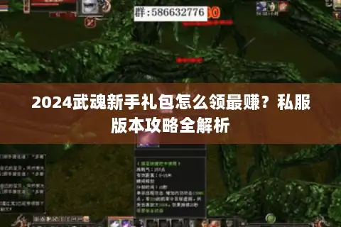 2024武魂新手礼包怎么领最赚？私服版本攻略全解析