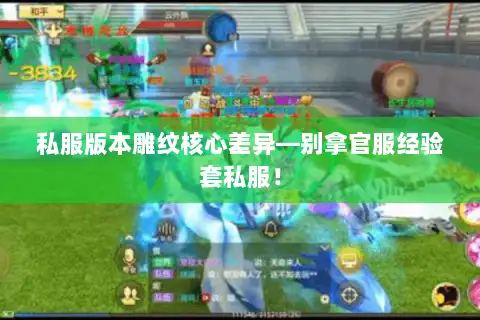 私服版本雕纹核心差异—别拿官服经验套私服！