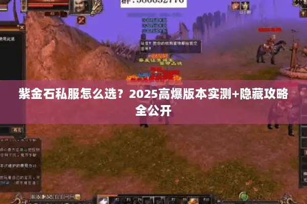 紫金石私服怎么选？2025高爆版本实测+隐藏攻略全公开