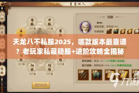 天龙八不私服2025，哪款版本最靠谱？老玩家私藏稳服+进阶攻略全揭秘