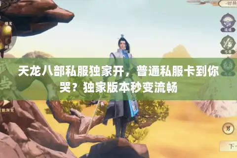 天龙八部私服独家开,普通私服卡到你哭?独家版本秒变流畅 天龙八部私服独家开,普通私服卡到你哭?独家版本秒变流畅