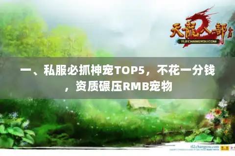 一、私服必抓神宠TOP5，不花一分钱，资质碾压RMB宠物