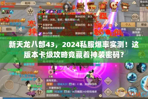 新天龙八部43，2024私服爆率实测！这版本卡级攻略竟藏着神装密码？