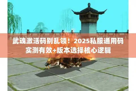 武魂激活码别乱领！2025私服通用码实测有效+版本选择核心逻辑