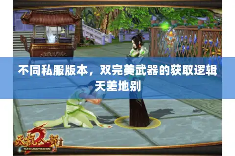 不同私服版本，双完美武器的获取逻辑天差地别