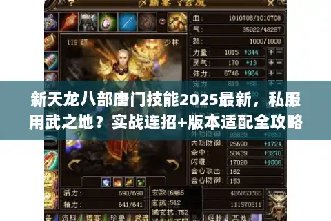 新天龙八部唐门技能2025最新,私服用武之地?实战连招+版本适配全攻略 新天龙八部唐门技能2025最新,私服用武之地?实战连招+版本适配全攻略