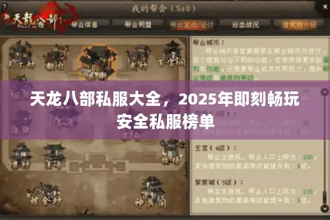 天龙八部私服大全，2025年即刻畅玩安全私服榜单