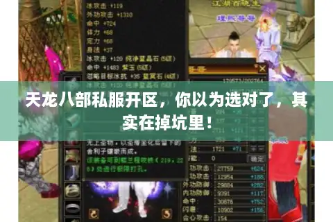天龙八部私服开区，你以为选对了，其实在掉坑里！