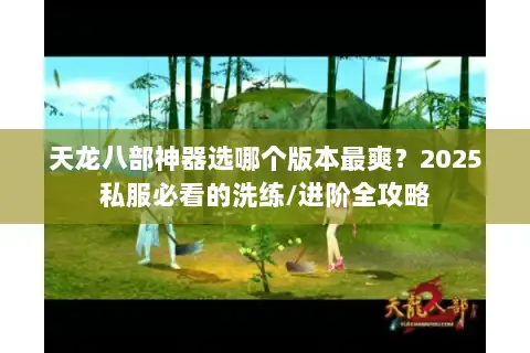 天龙八部神器选哪个版本最爽？2025私服必看的洗练/进阶全攻略
