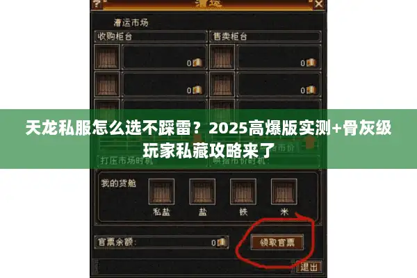 天龙私服怎么选不踩雷？2025高爆版实测+骨灰级玩家私藏攻略来了