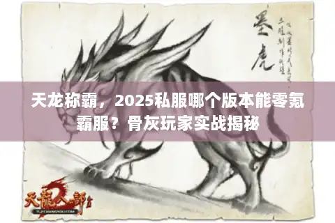 天龙称霸，2025私服哪个版本能零氪霸服？骨灰玩家实战揭秘